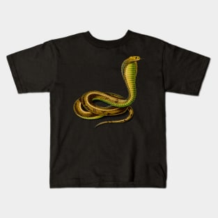 Vintage Egyptian cobra snake reptile Kids T-Shirt